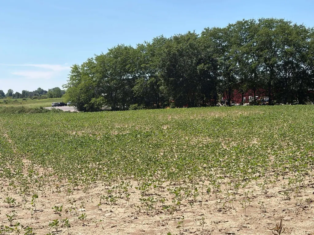 Tbd E Broomfield Road Union Charter Township MI 48858