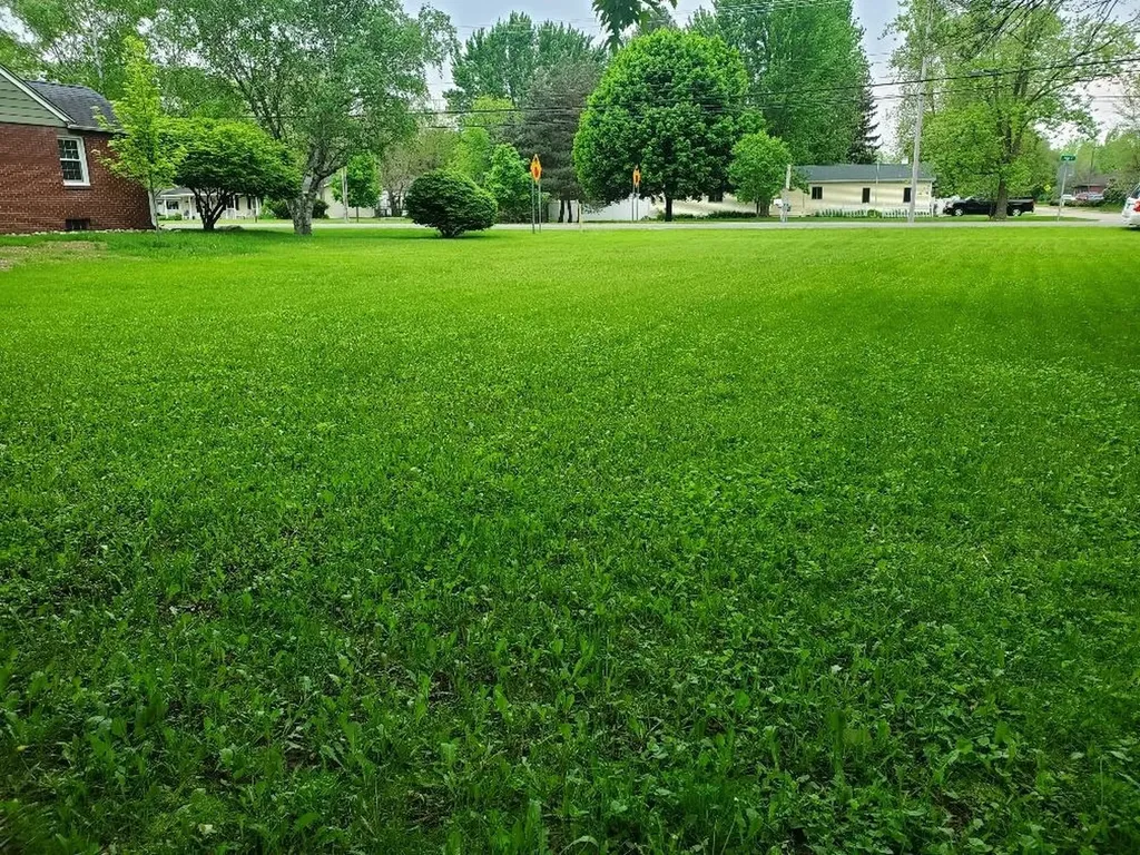1616 E High Street Union Charter Township MI 48858