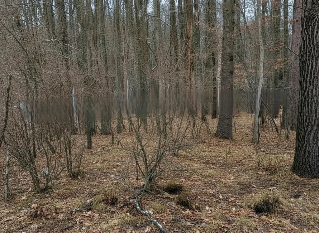 Lot 40 Squirrel Run Lincoln Township MI 48622