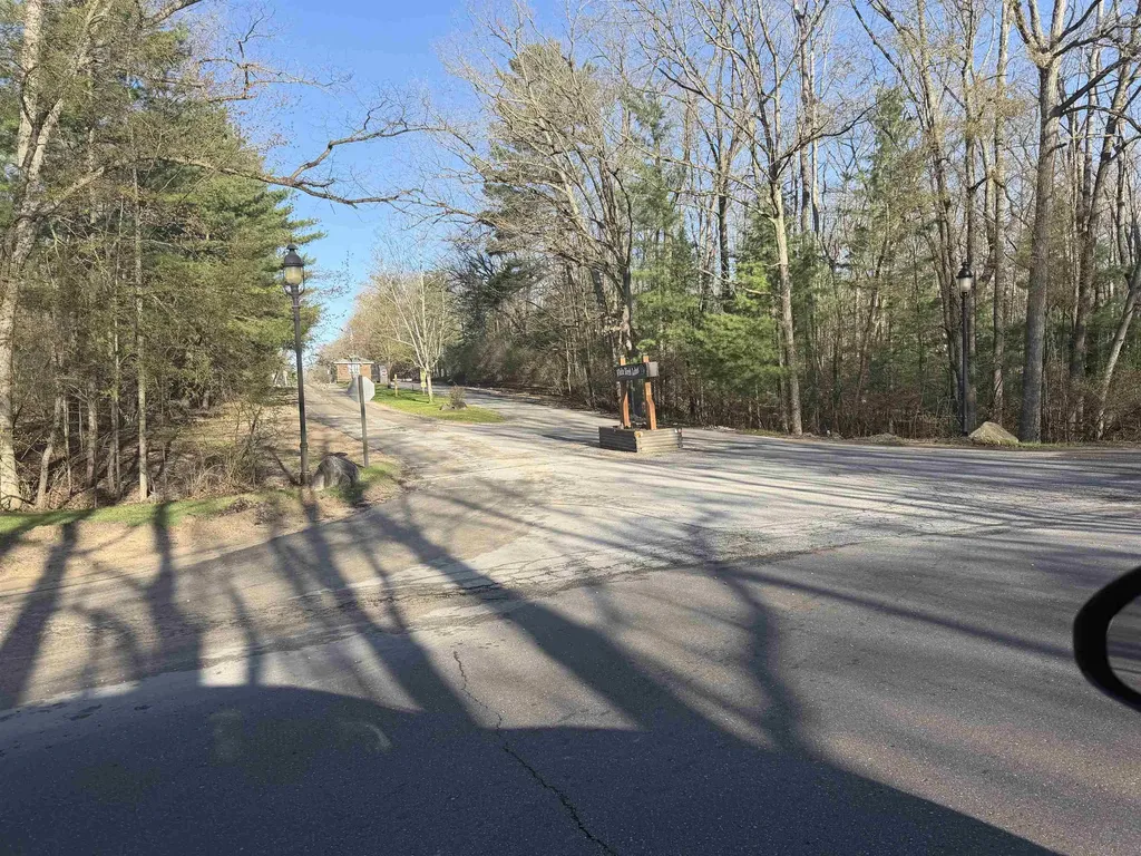 Lot 40 Squirrel Run Lincoln Township MI 48622