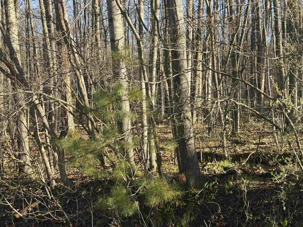 Lot 40 Squirrel Run Lincoln Township MI 48622