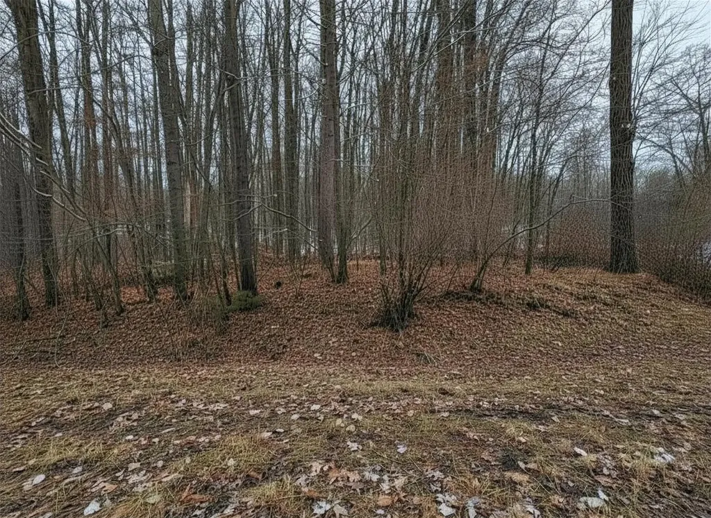 Lot 40 Squirrel Run Lincoln Township MI 48622