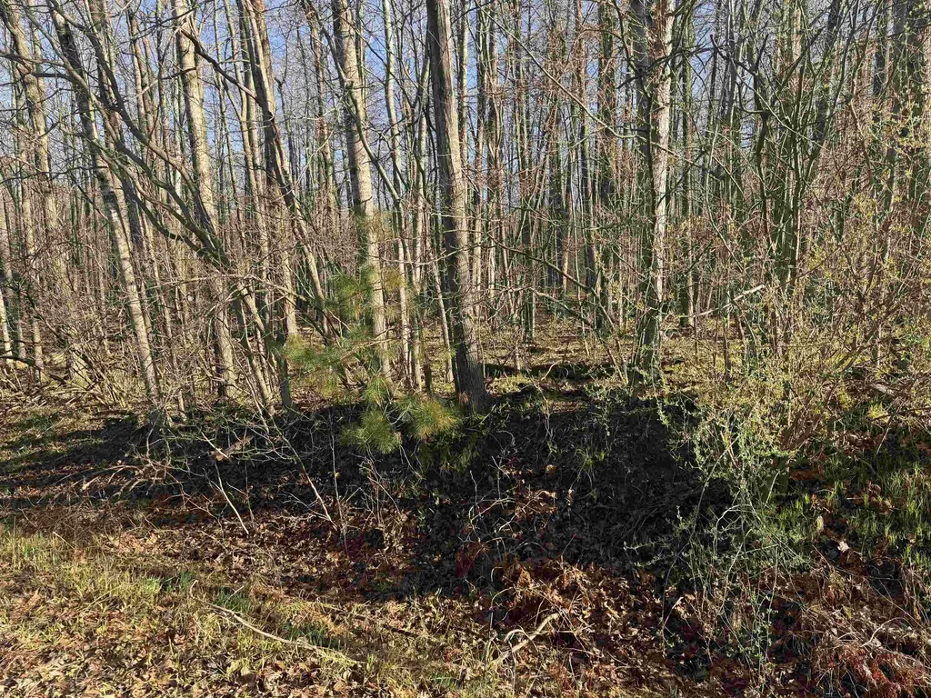 Lot 40 Squirrel Run Lincoln Township MI 48622