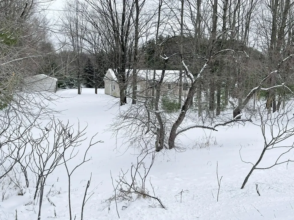 10511 NE Lake Of The Woods Custer Township MI 49659