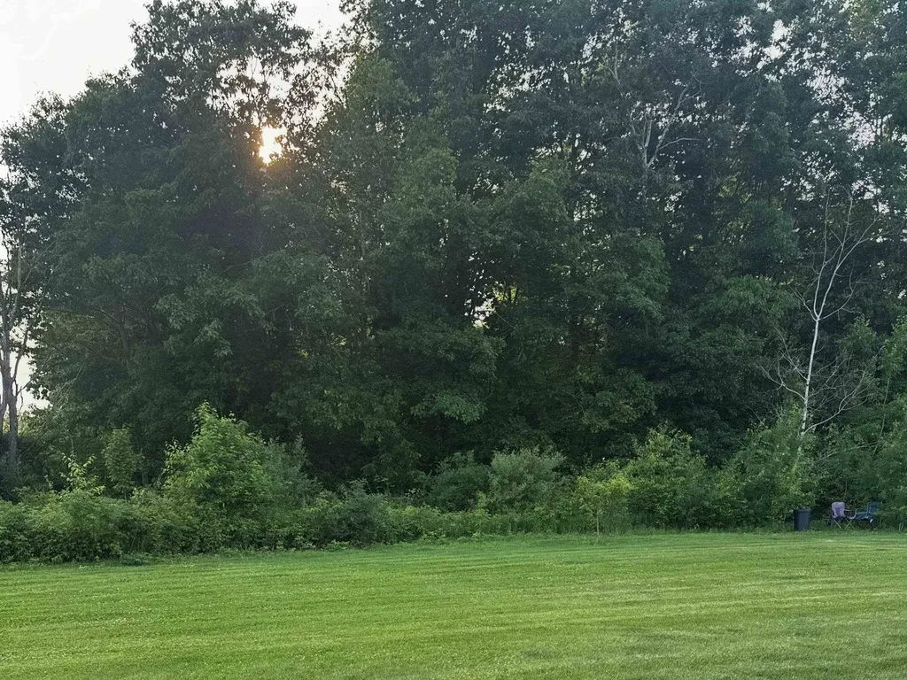 2578 White Deerfield Township MI 48858