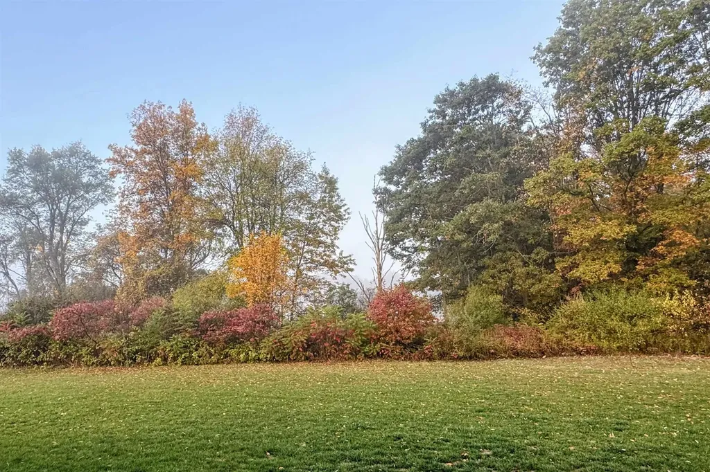 2578 White Deerfield Township MI 48858