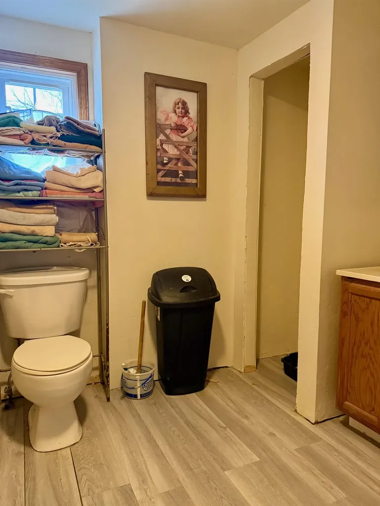 6329 N Lumberjack Road Seville Township MI 48877