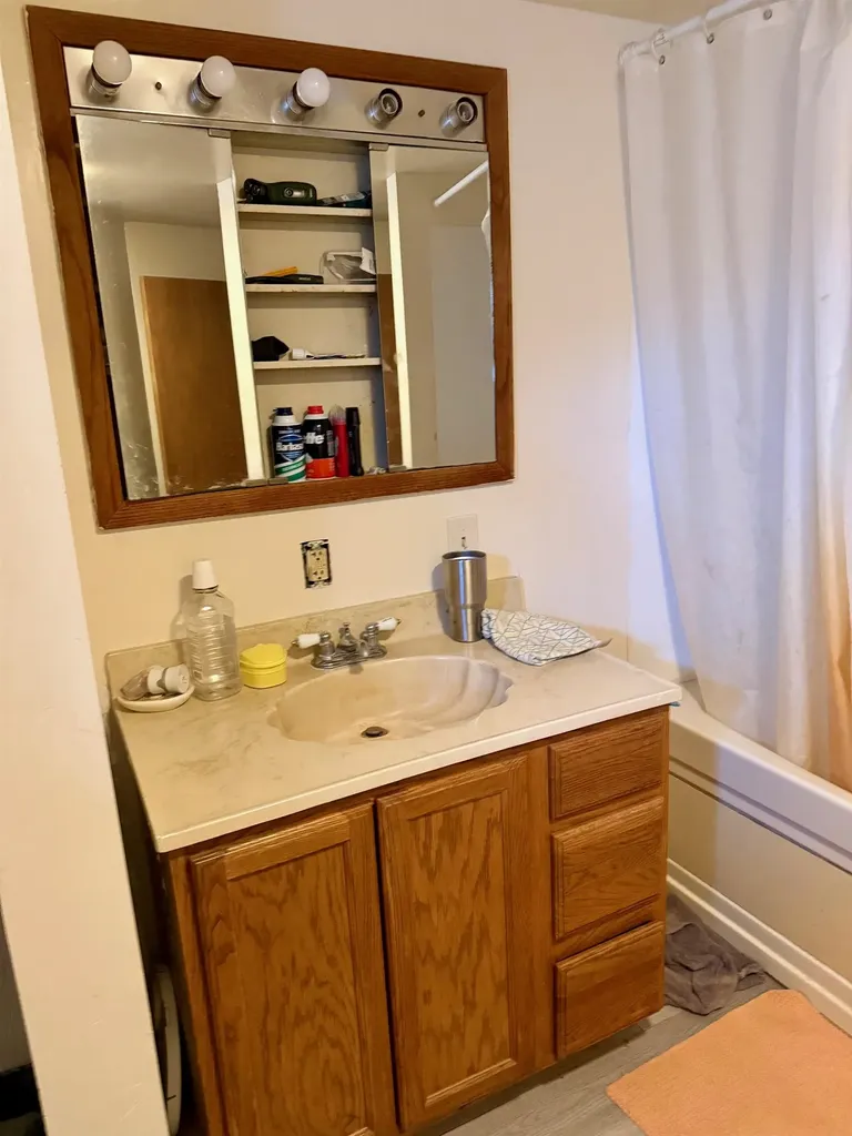 6329 N Lumberjack Road Seville Township MI 48877