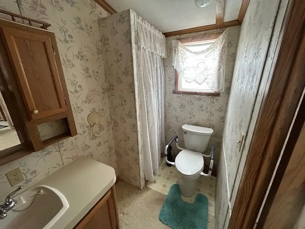 6189 Wildwood Drive Seville Township MI 48832