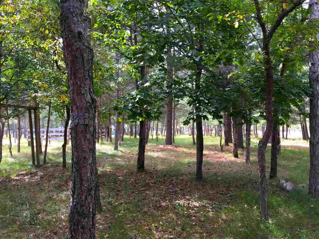 9769 Parrot Circle Garfield Township MI 49633