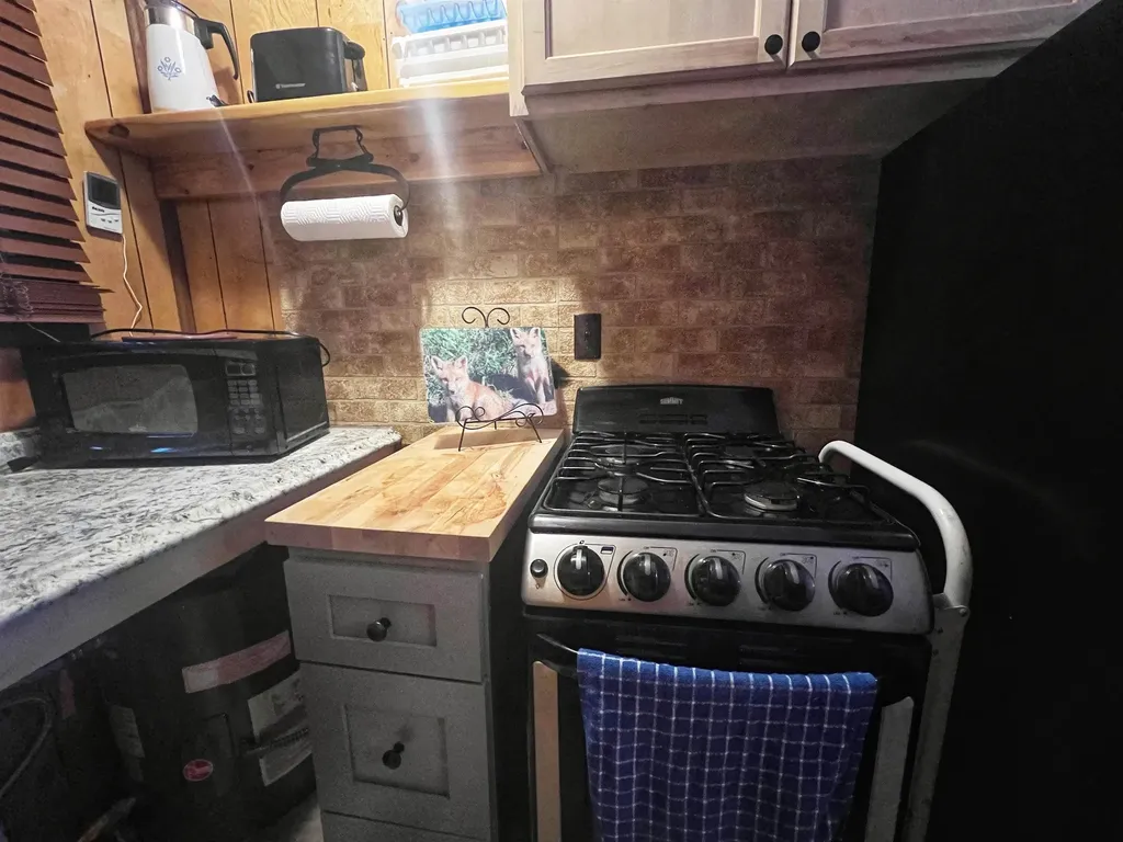 9769 Parrot Circle Garfield Township MI 49633