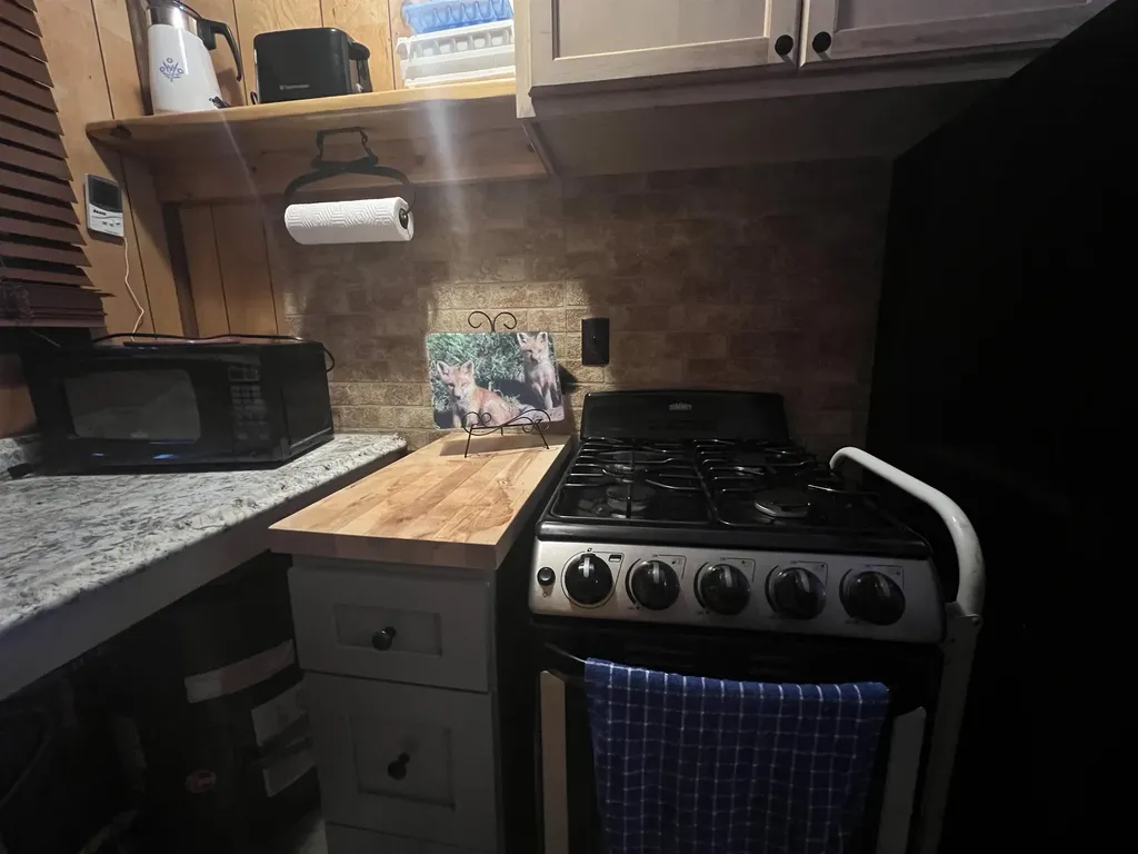 9769 Parrot Circle Garfield Township MI 49633