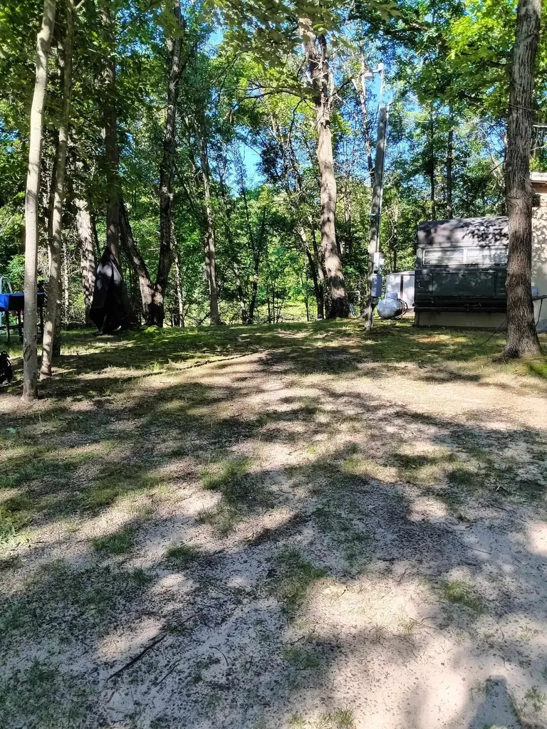 7907 W Weidman Road Sherman Township MI 48893