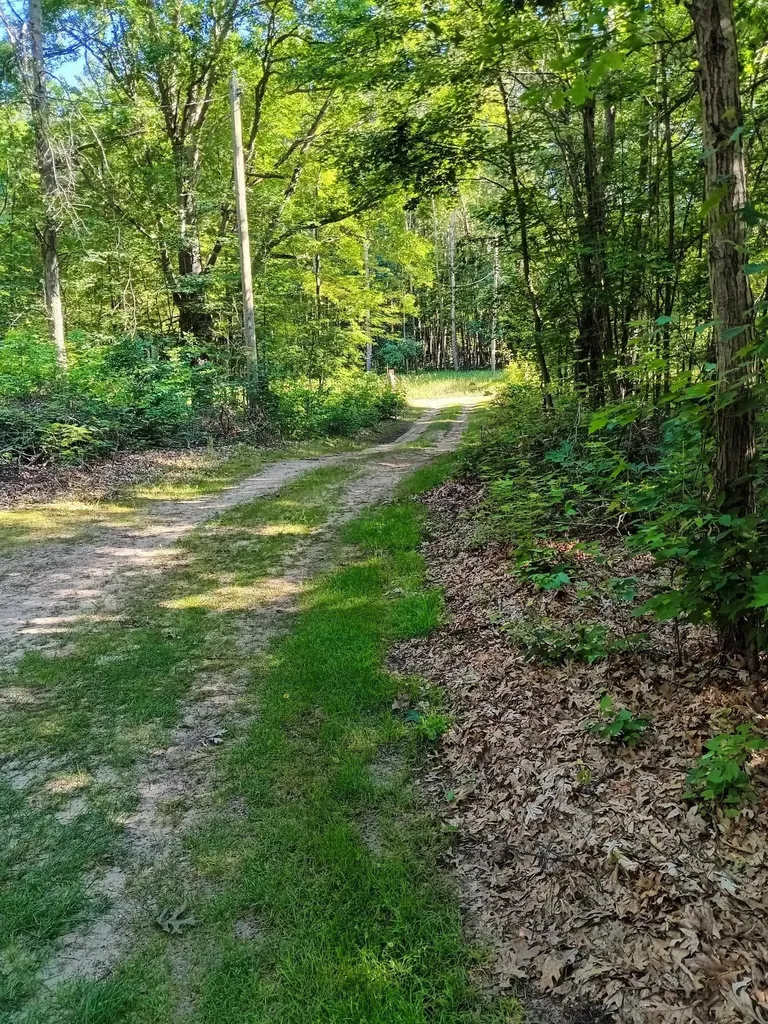 7907 W Weidman Road Sherman Township MI 48893