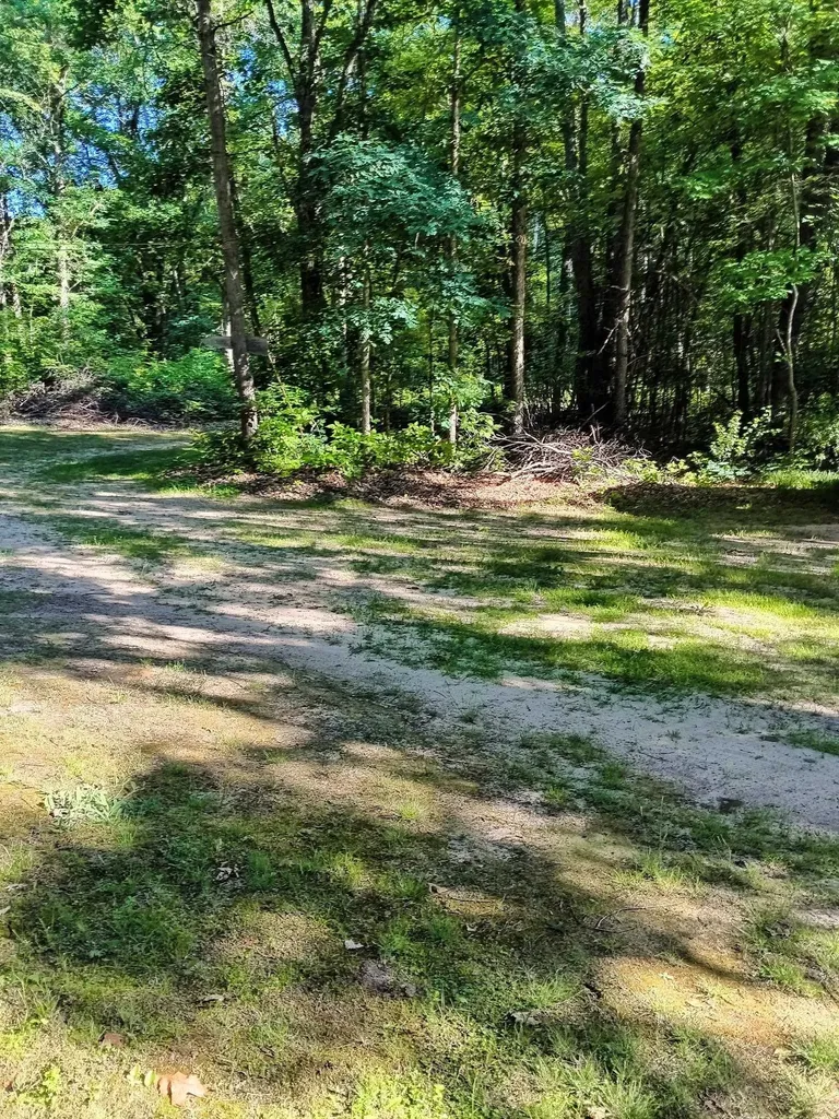 7907 W Weidman Road Sherman Township MI 48893