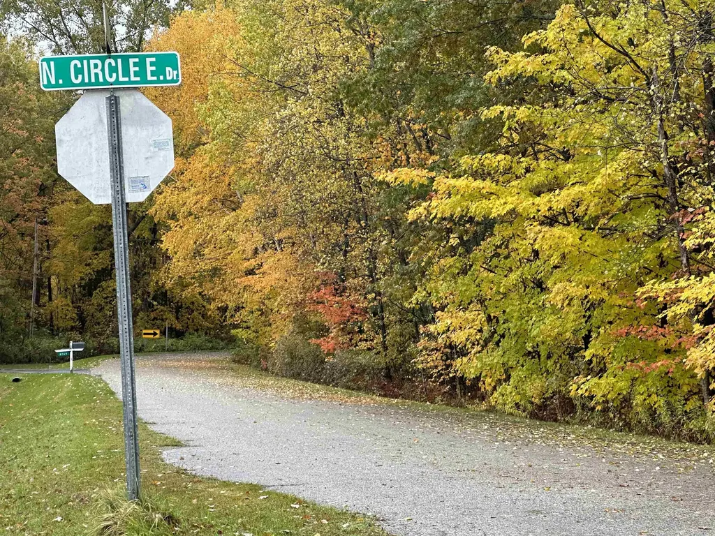 Lot #5 N Circle E Surrey Township MI 48622