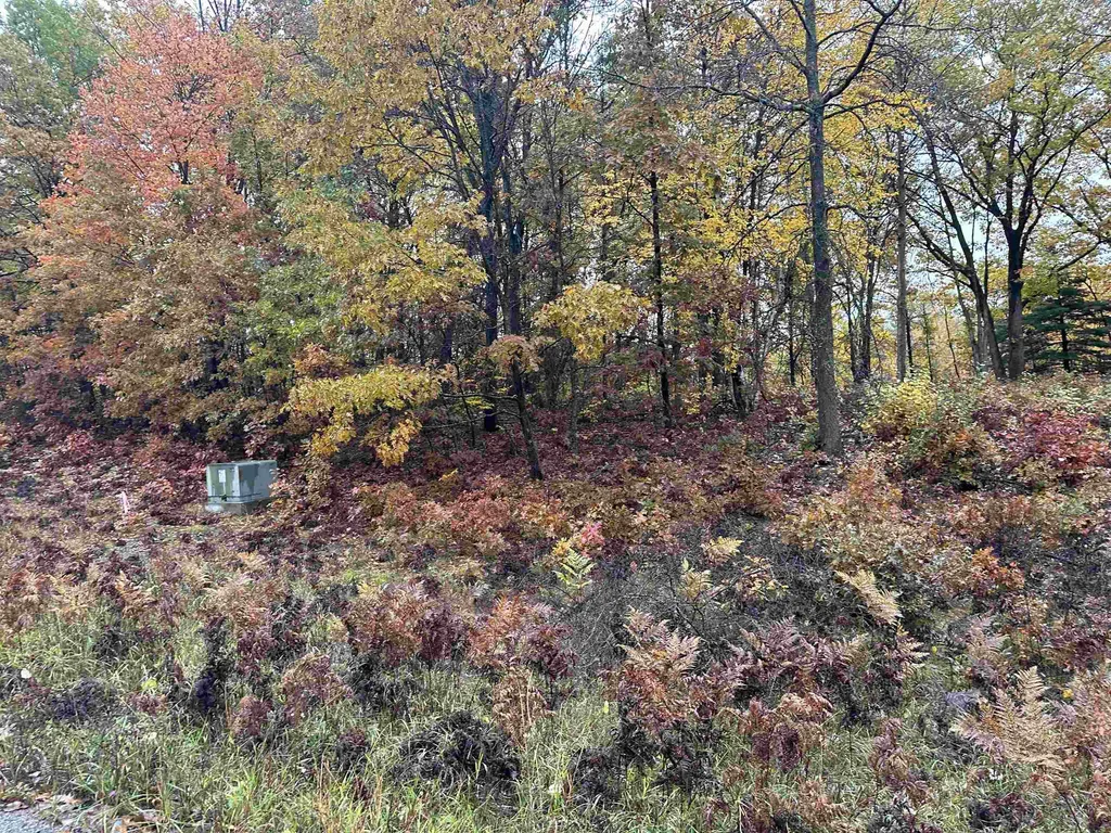 Lot #5 N Circle E Surrey Township MI 48622