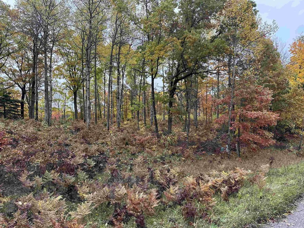 Lot #5 N Circle E Surrey Township MI 48622
