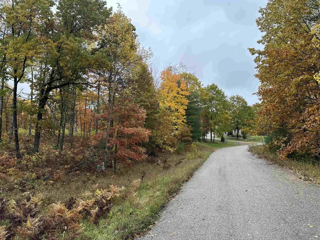 Lot #5 N Circle E Surrey Township MI 48622
