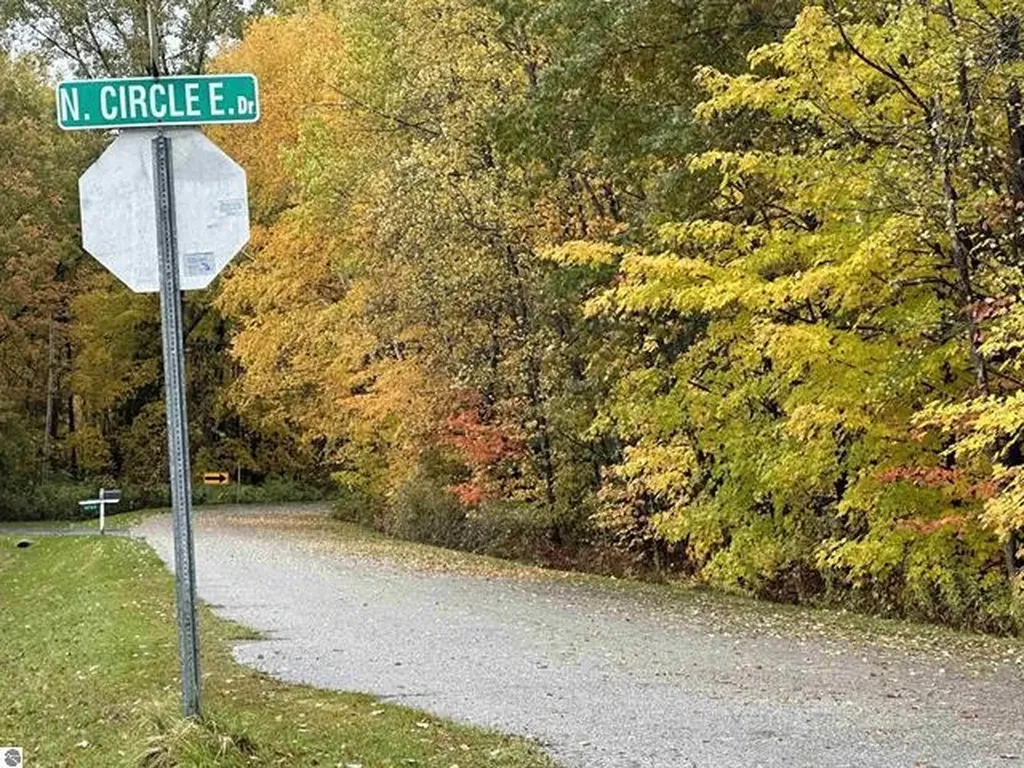 Lot #6 N Circle E Surrey Township MI 48622