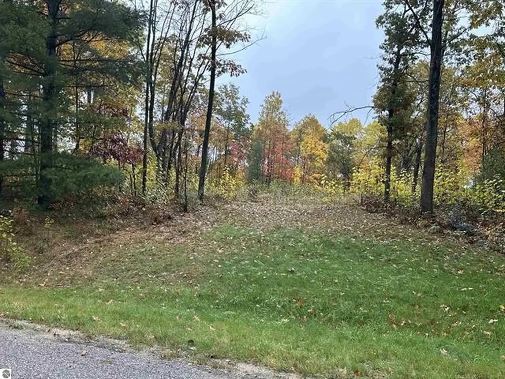 Lot #6 N Circle E Surrey Township MI 48622