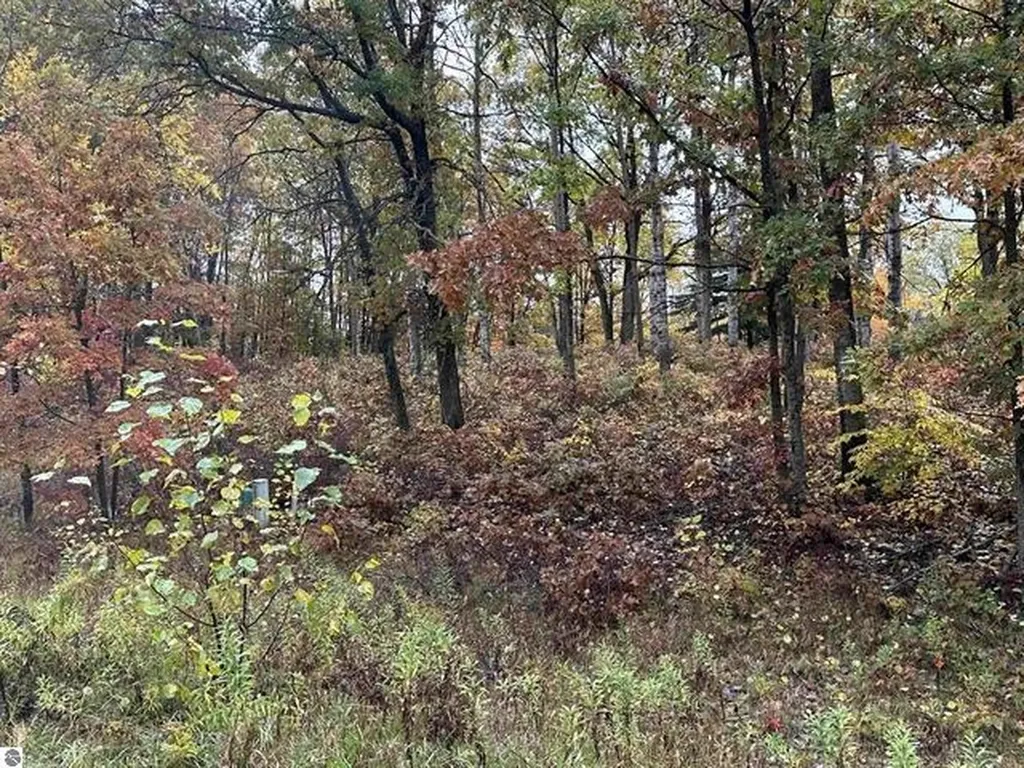 Lot #6 N Circle E Surrey Township MI 48622