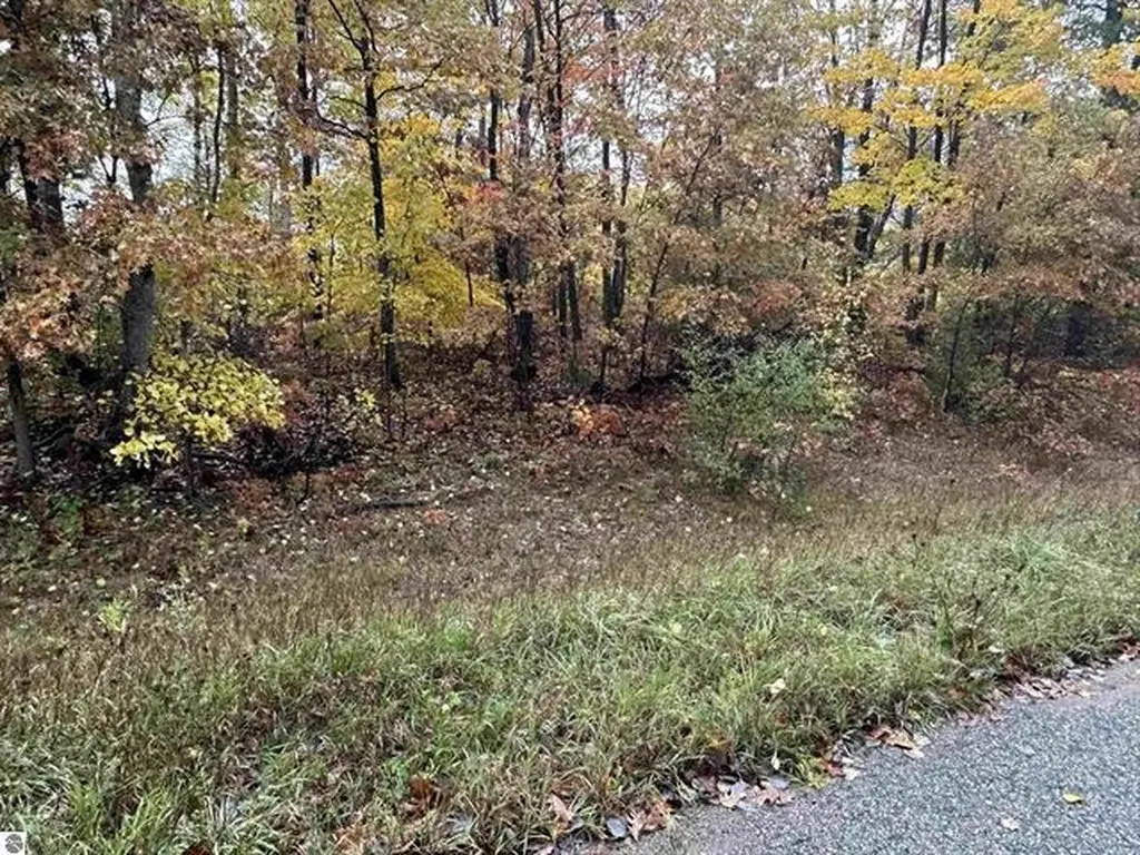 Lot #6 N Circle E Surrey Township MI 48622