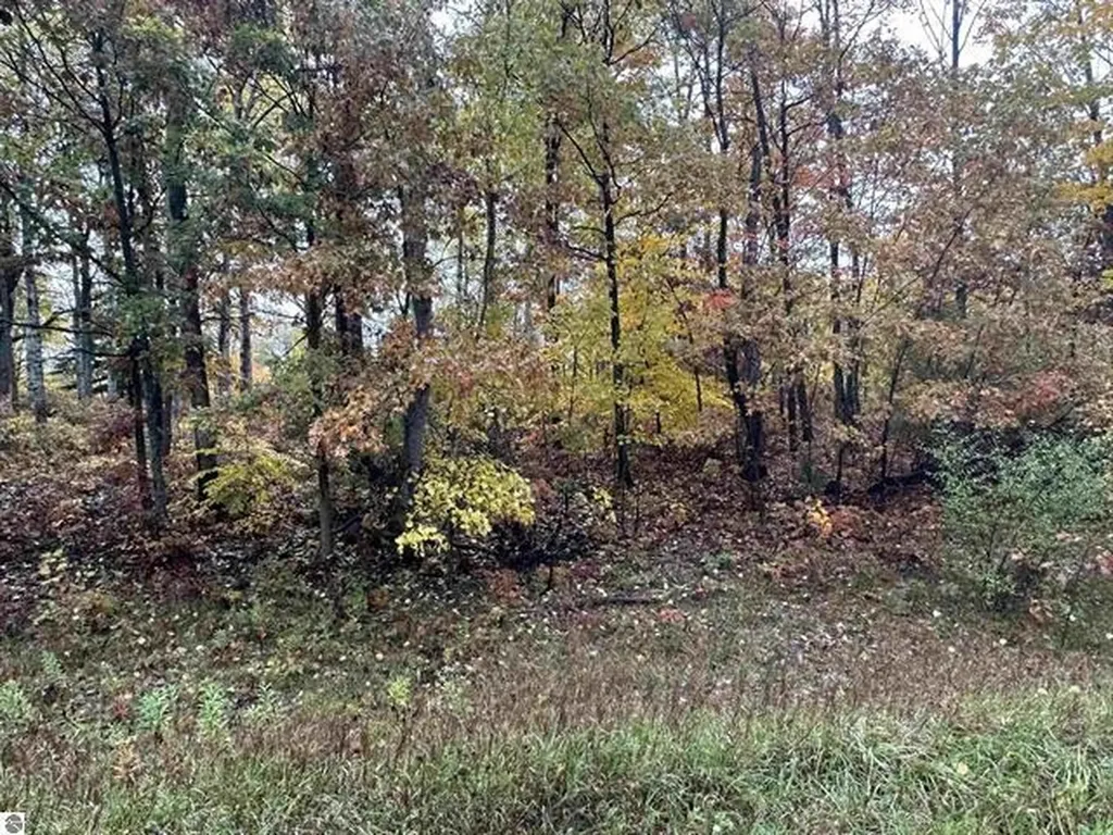 Lot #6 N Circle E Surrey Township MI 48622