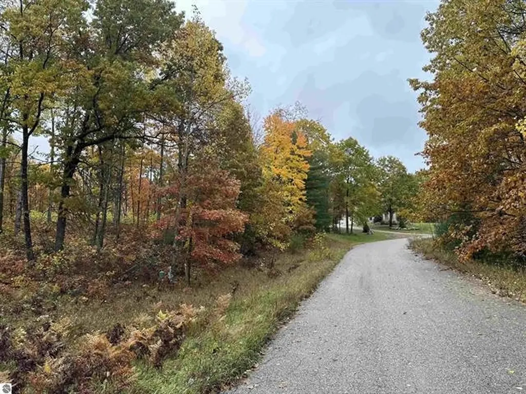 Lot #6 N Circle E Surrey Township MI 48622