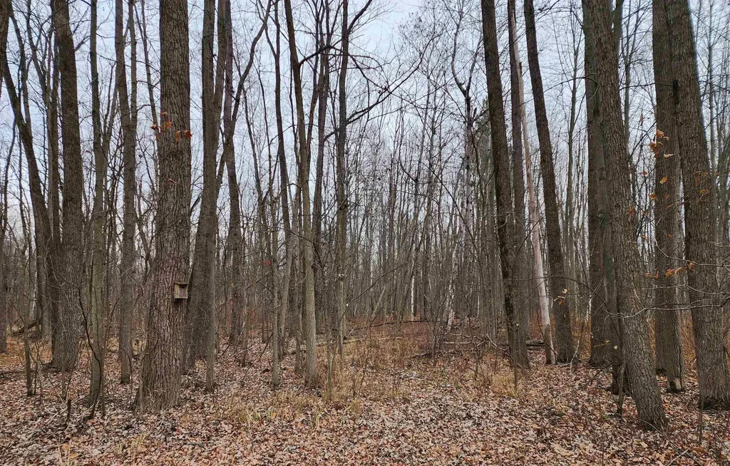 3400 N Sturgeon Road Larkin Charter Township MI 48640