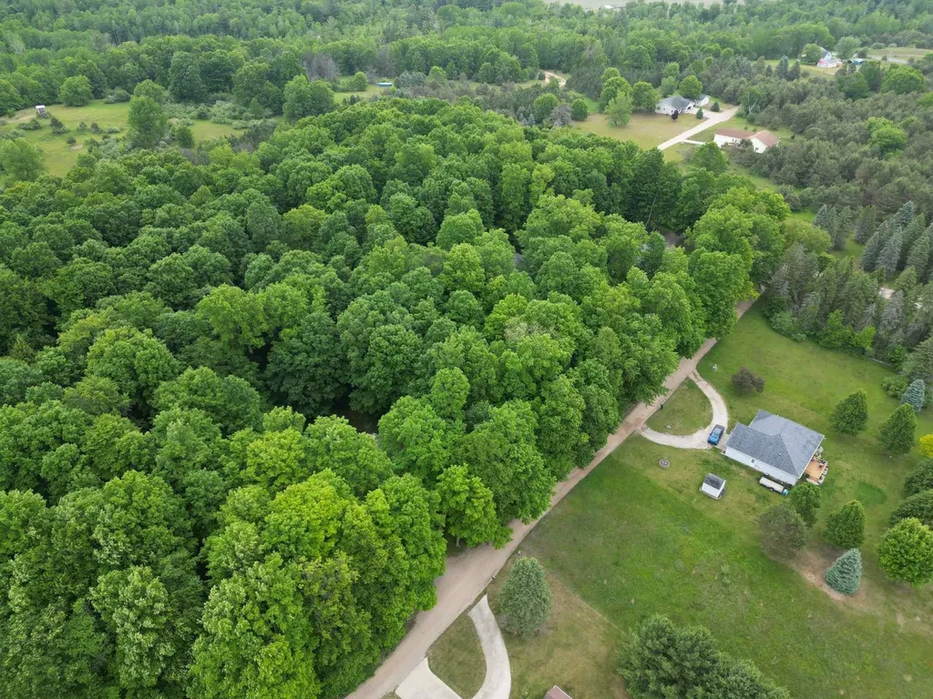Tbd Juniper Drive Surrey Township MI 48622