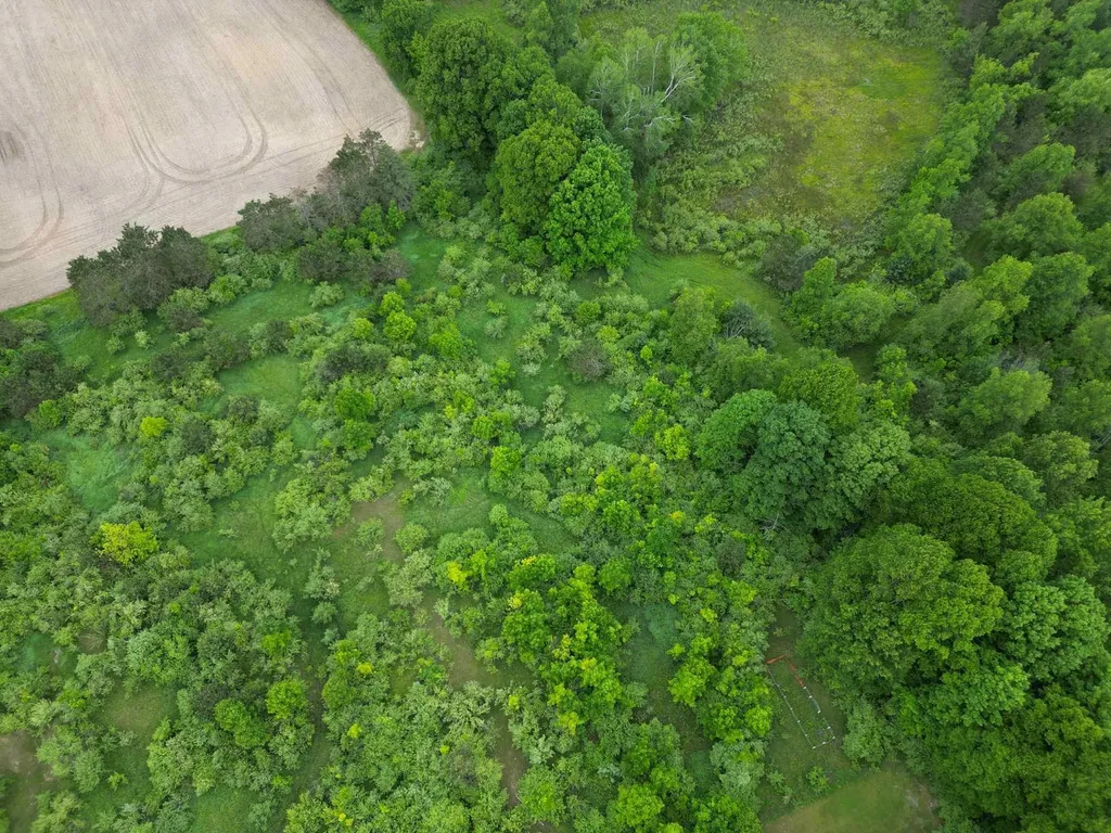 Tbd Juniper Drive Surrey Township MI 48622