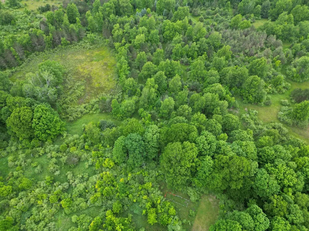 Tbd Juniper Drive Surrey Township MI 48622