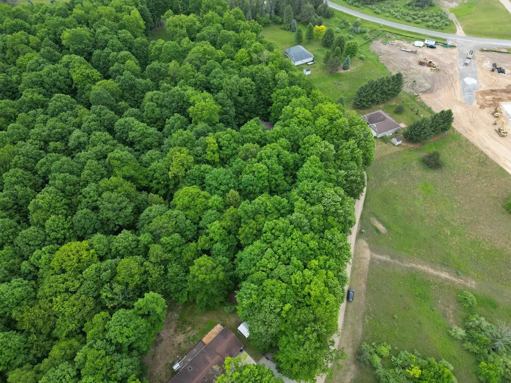 Tbd Juniper Drive Surrey Township MI 48622