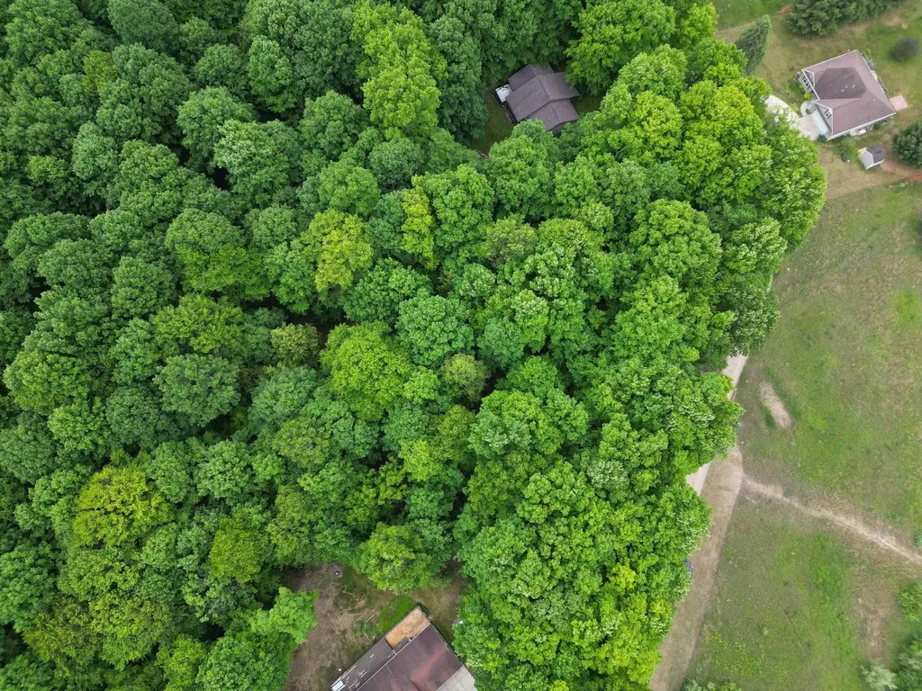 Tbd Juniper Drive Surrey Township MI 48622