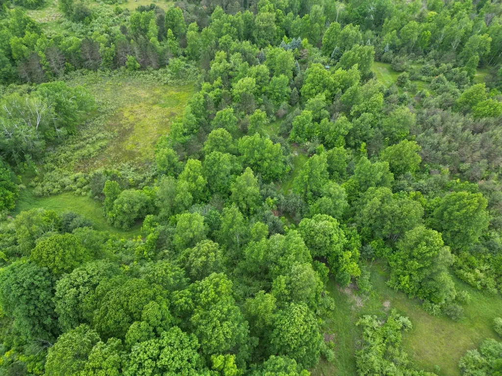 Tbd Juniper Drive Surrey Township MI 48622
