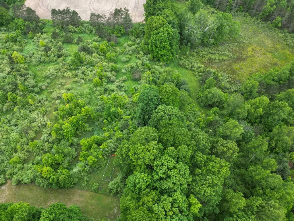 Tbd Juniper Drive Surrey Township MI 48622