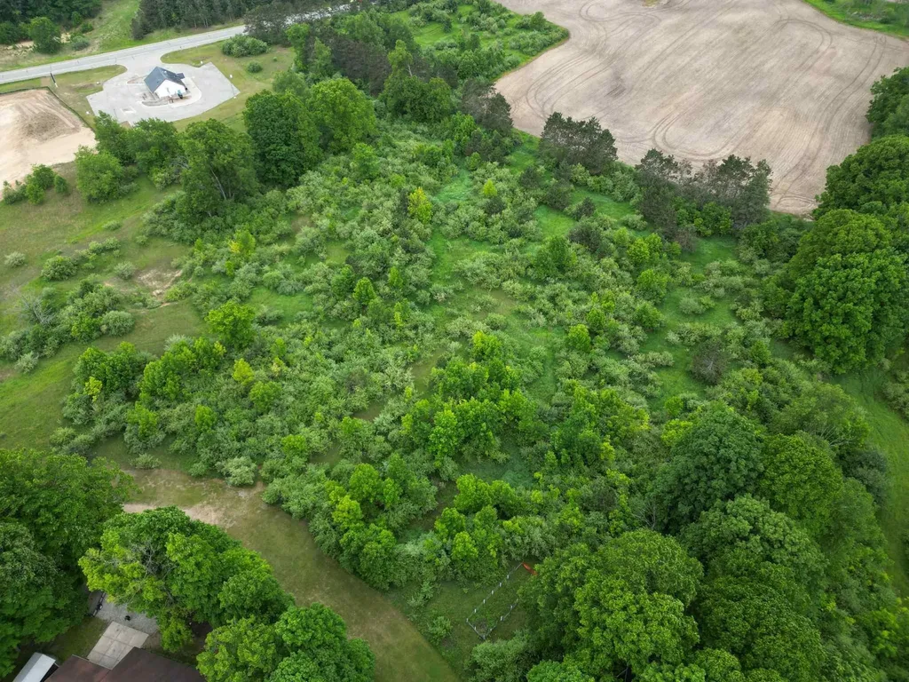 Tbd Juniper Drive Surrey Township MI 48622