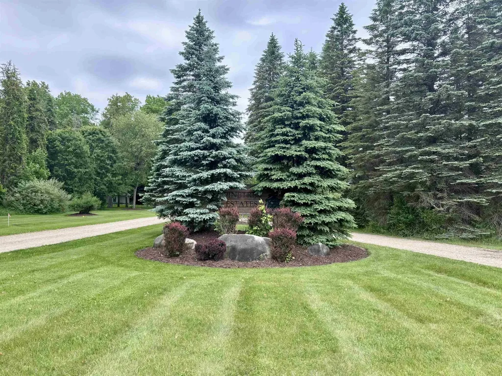 Tbd Stone Surrey Township MI 48622