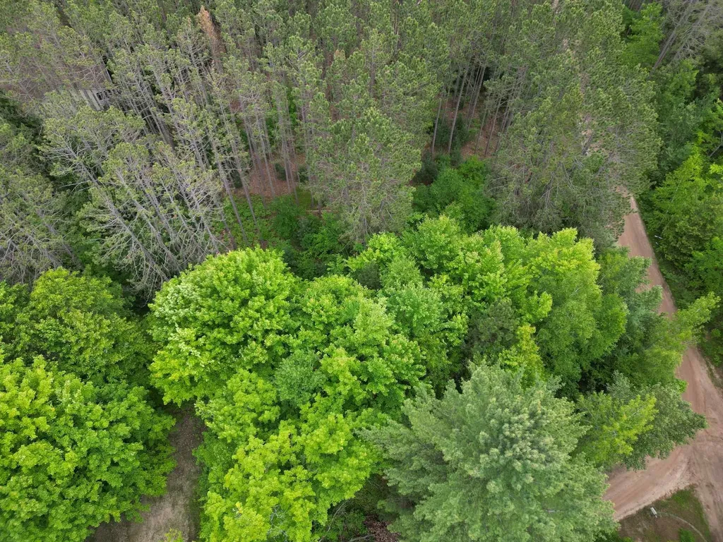 Tbd Wintergreen Surrey Township MI 48622