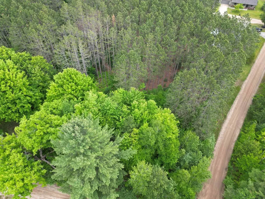Tbd Wintergreen Surrey Township MI 48622