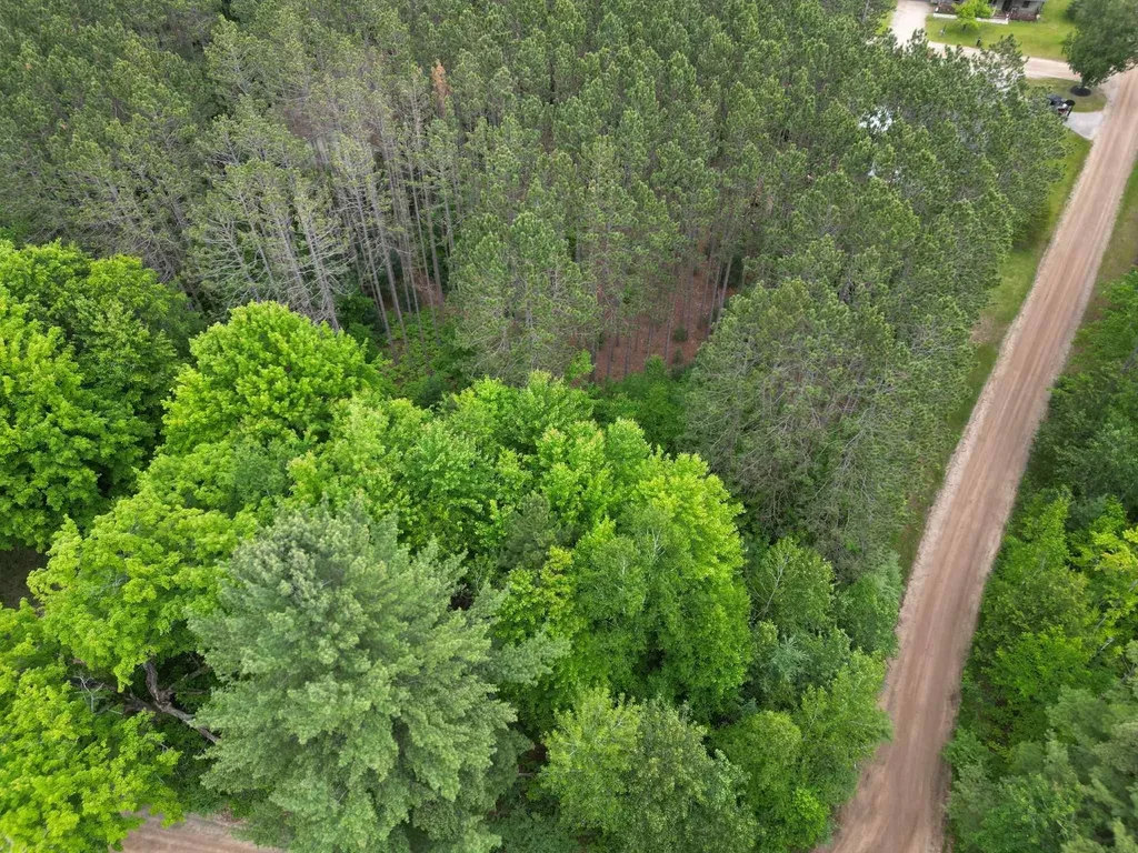 Tbd Wintergreen Surrey Township MI 48622