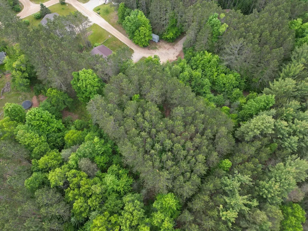Tbd Primrose Lane Surrey Township MI 48622