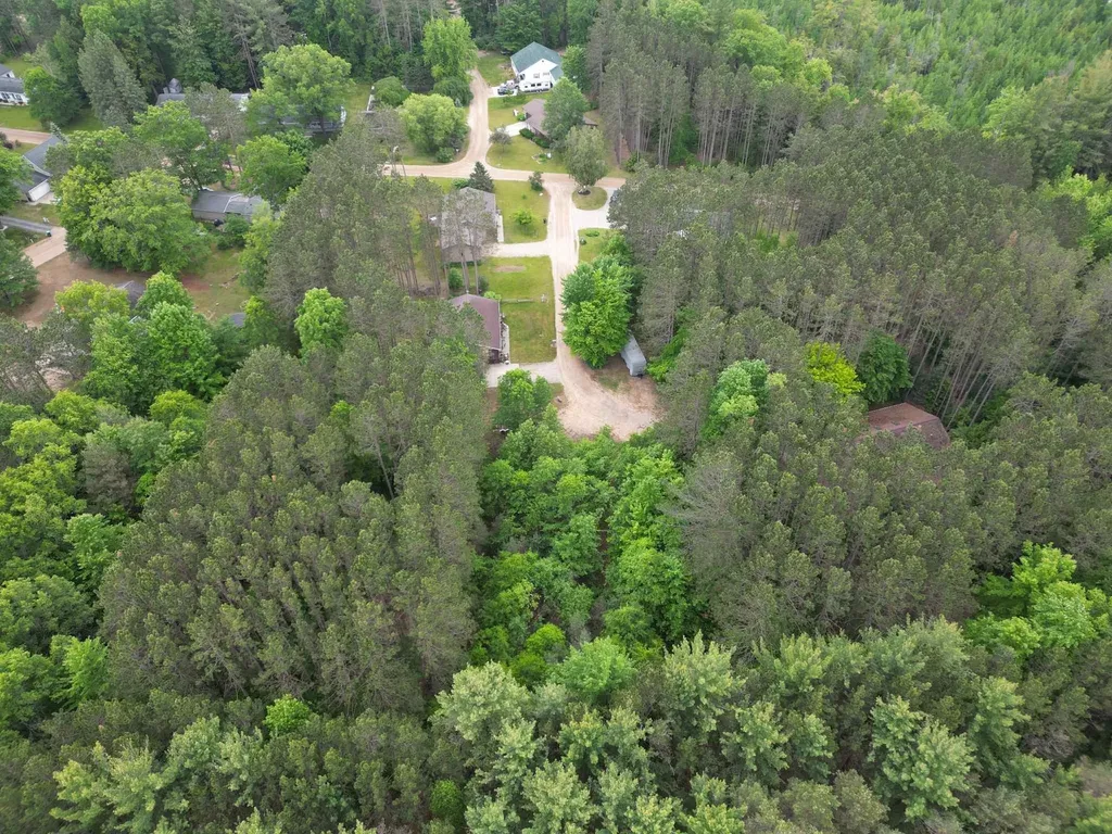 Tbd Primrose Lane Surrey Township MI 48622
