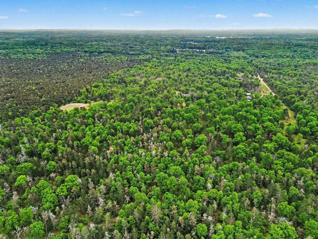 3304 Rabbit Track Drive Foster Township MI 48661