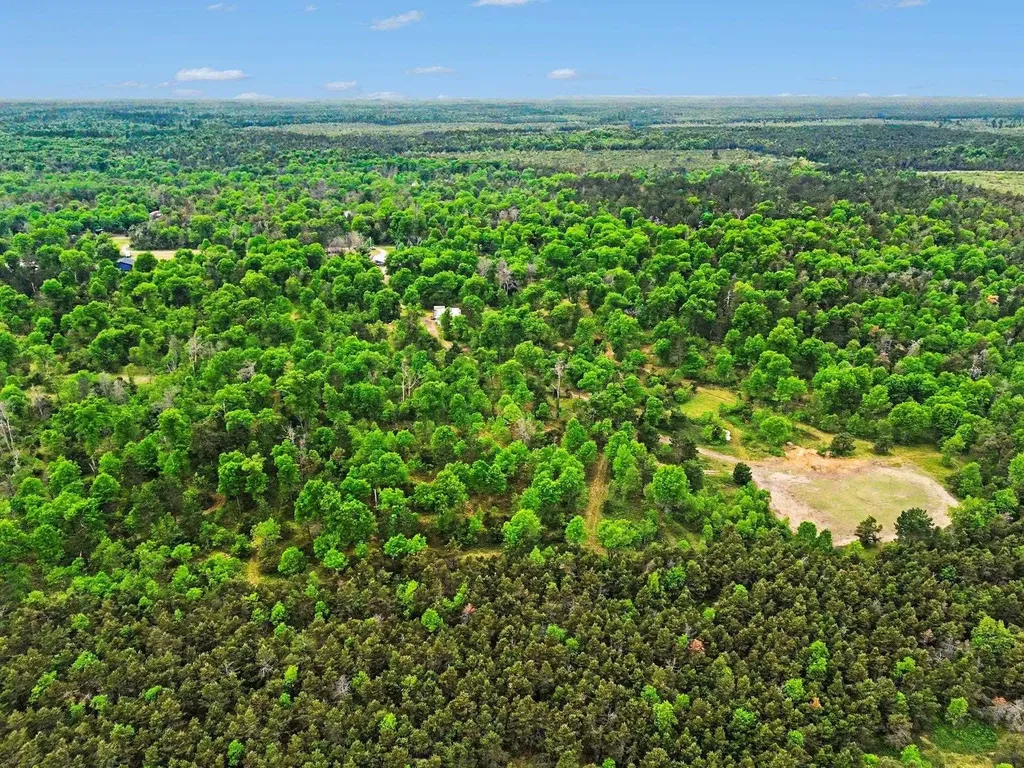 3304 Rabbit Track Drive Foster Township MI 48661