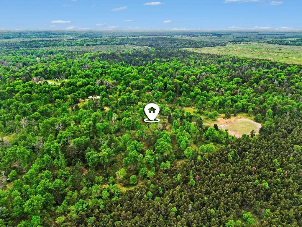 3304 Rabbit Track Drive Foster Township MI 48661