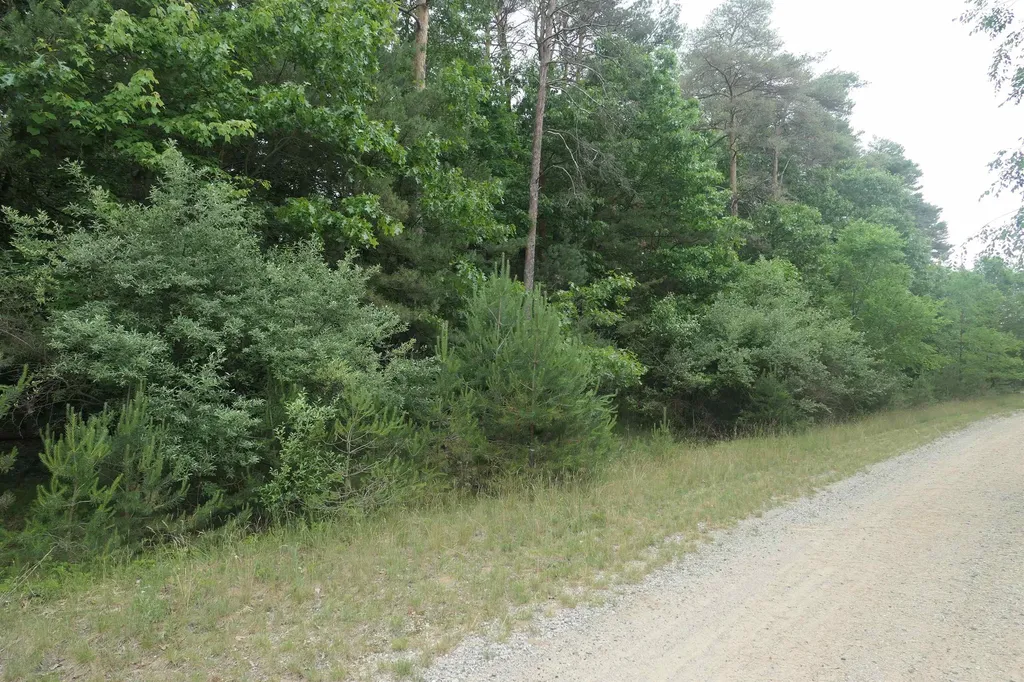 Merrill Drive Richland Township MI 48891