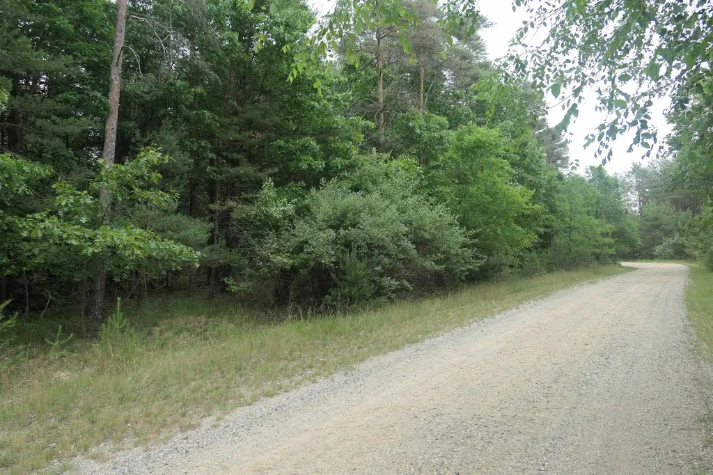 Merrill Drive Richland Township MI 48891