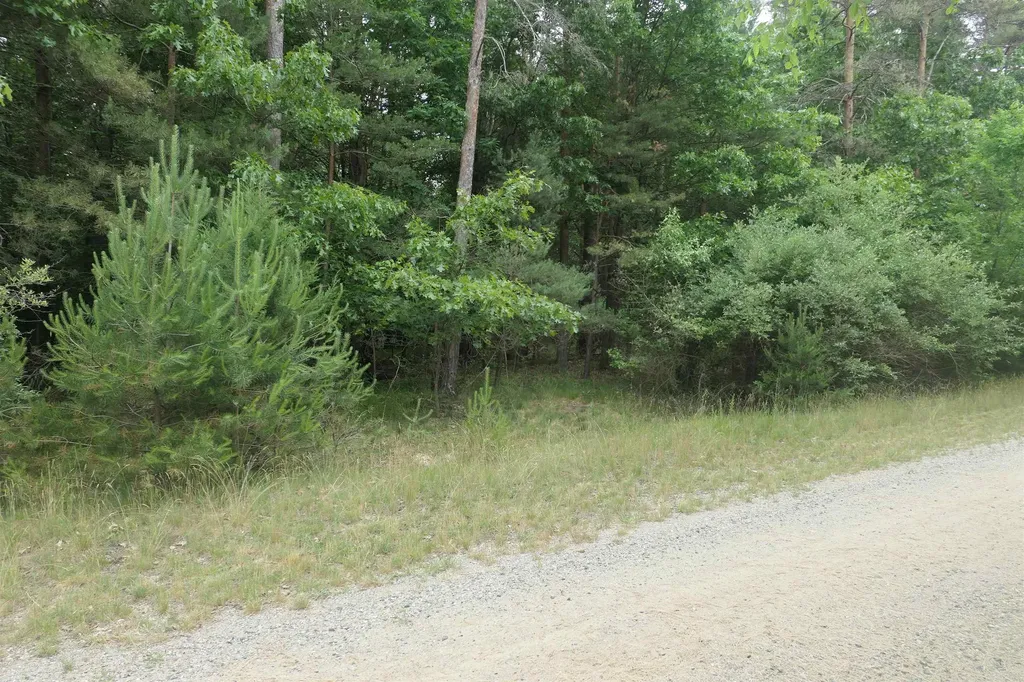 Merrill Drive Richland Township MI 48891